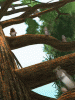 anim240320mobildesign.atw.hu_0014.gif